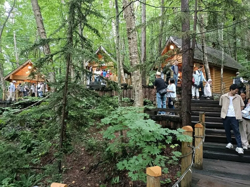 日本2024東京北海道|富田農場看薰衣草~哈蜜瓜麵包必吃!不吃肯定後悔!森林精靈露台~吸收芬多精享片刻寧靜!