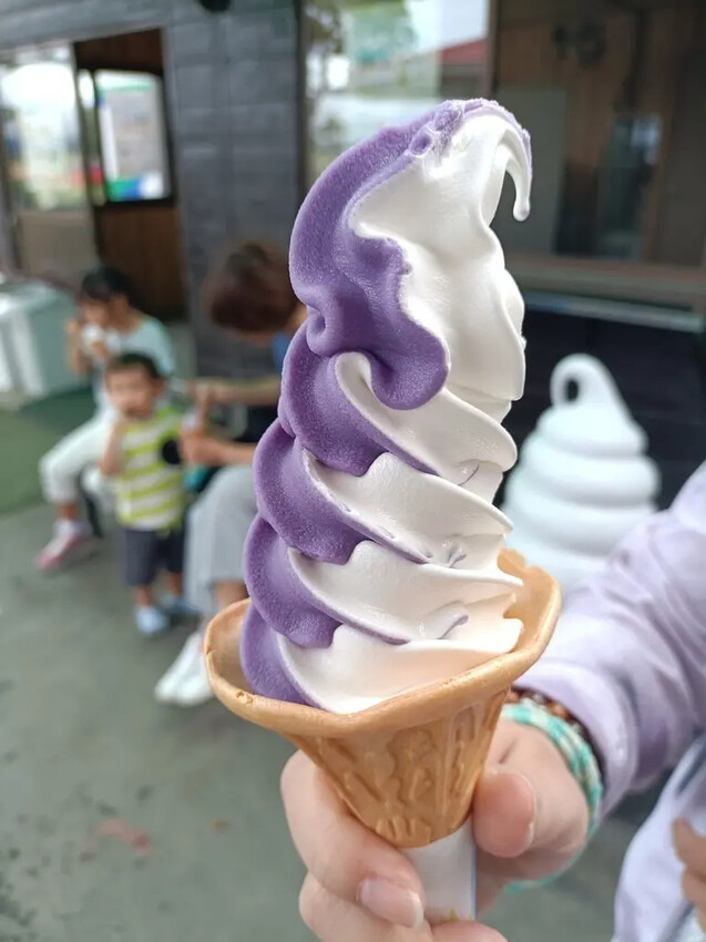 日本2024東京北海道|美瑛四季彩之丘，賞花賞景好放鬆~必吃生玉米、薰衣草牛奶霜淇淋!午餐哈蜜瓜吃到飽~~~好甜好