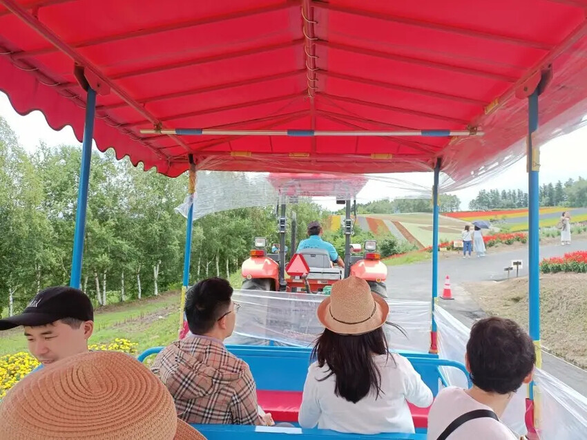 日本2024東京北海道|美瑛四季彩之丘，賞花賞景好放鬆~必吃生玉米、薰衣草牛奶霜淇淋!午餐哈蜜瓜吃到飽~~~好甜好