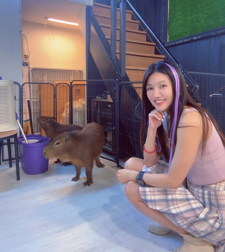 台北市萬華區西門町最療癒的複合式餐廳，奔fun足體X水豚搖搖茶飲（複合式）-超萌水豚君，超乖小貓咪，全身按摩，足療通通有，萬華區包場推薦！