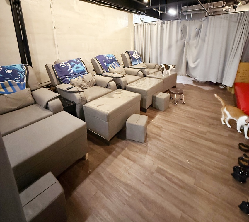 台北市萬華區西門町最療癒的複合式餐廳，奔fun足體X水豚搖搖茶飲（複合式）-超萌水豚君，超乖小貓咪，全身按摩，足療通通有，萬華區包場推薦！