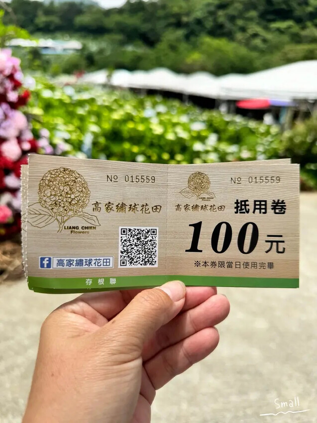 全台最大繡球花田【高家繡球花_萬里第三園區】有夢幻花海與造景 全台最大繡球花田【高家繡球花_萬里第三園區】有夢幻花海與造景