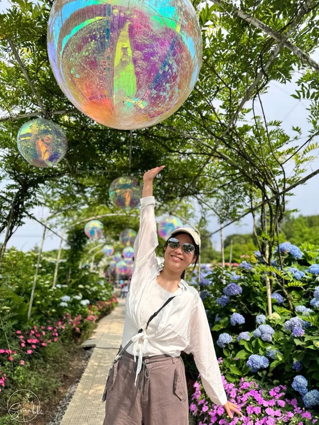 全台最大繡球花田【高家繡球花_萬里第三園區】有夢幻花海與造景 全台最大繡球花田【高家繡球花_萬里第三園區】有夢幻花海與造景