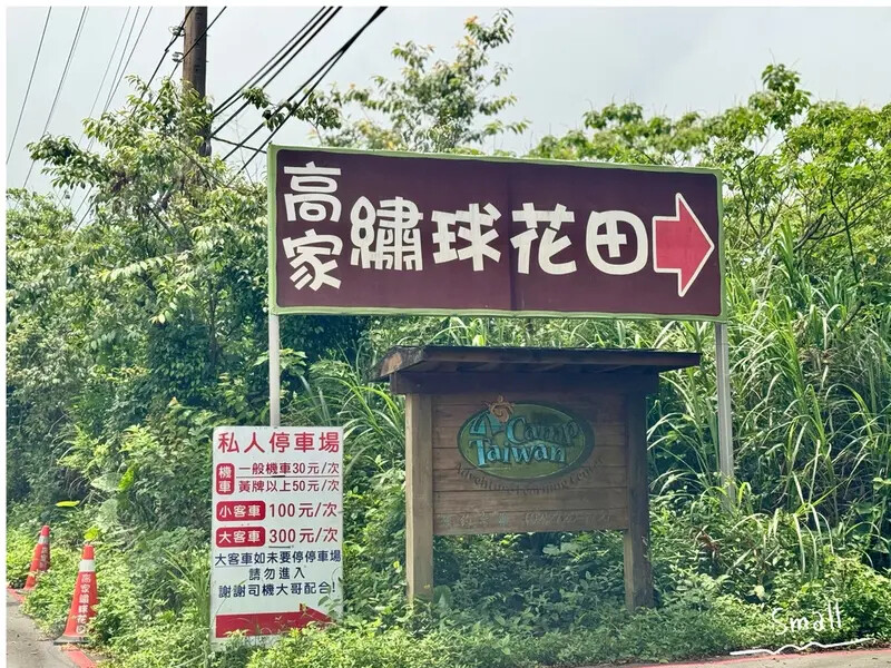 全台最大繡球花田【高家繡球花_萬里第三園區】有夢幻花海與造景 全台最大繡球花田【高家繡球花_萬里第三園區】有夢幻花海與造景