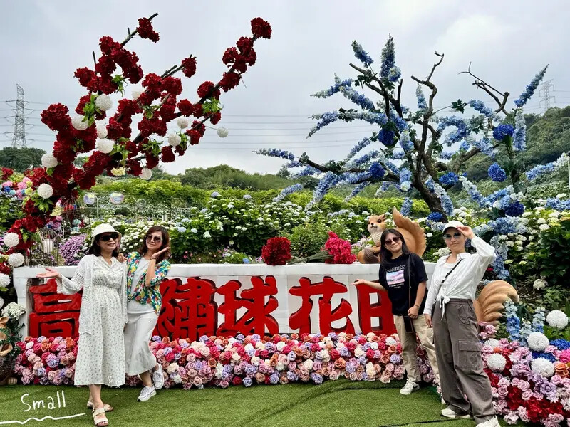 全台最大繡球花田【高家繡球花_萬里第三園區】有夢幻花海與造景 全台最大繡球花田【高家繡球花_萬里第三園區】有夢幻花海與造景