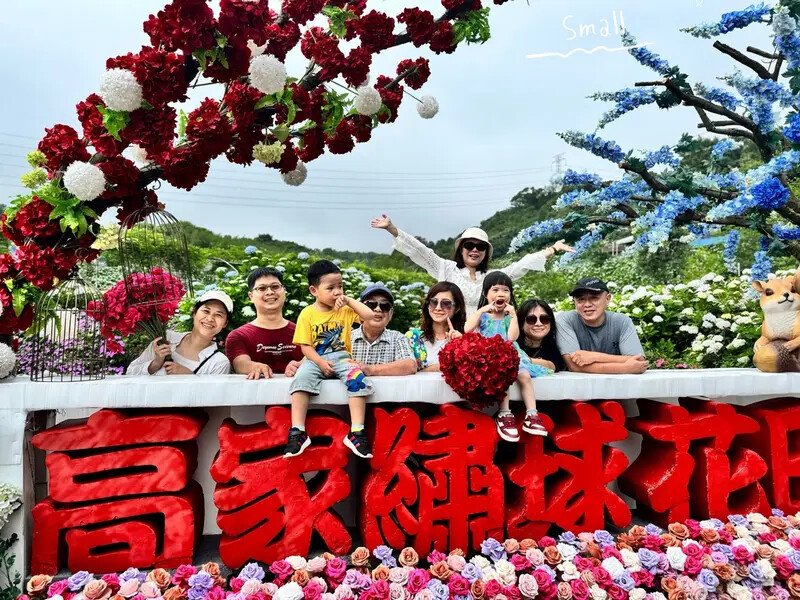 全台最大繡球花田【高家繡球花_萬里第三園區】有夢幻花海與造景 全台最大繡球花田【高家繡球花_萬里第三園區】有夢幻花海與造景