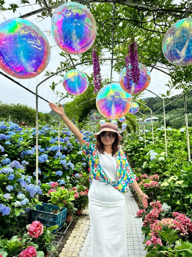 全台最大繡球花田【高家繡球花_萬里第三園區】有夢幻花海與造景 全台最大繡球花田【高家繡球花_萬里第三園區】有夢幻花海與造景