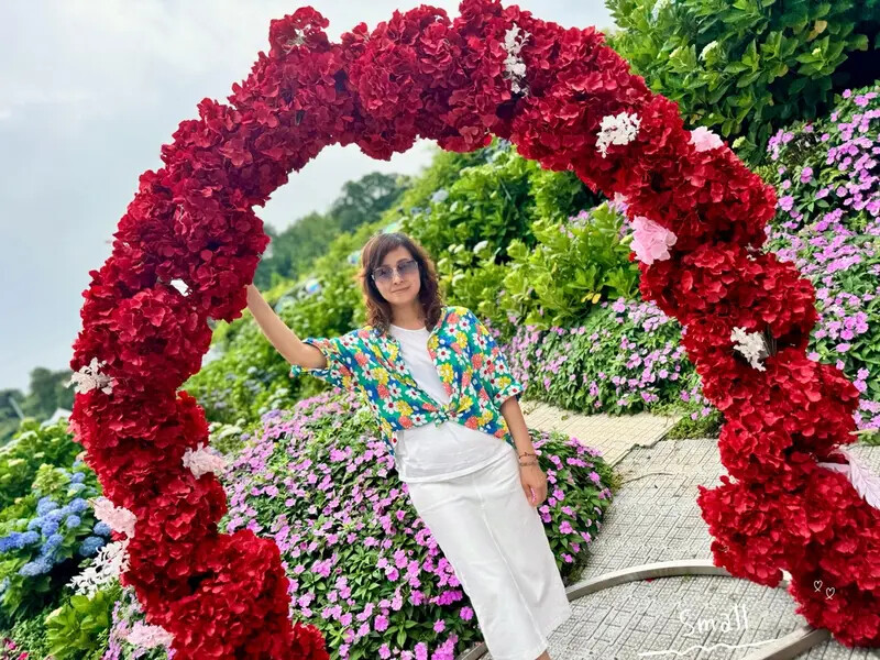 全台最大繡球花田【高家繡球花_萬里第三園區】有夢幻花海與造景 全台最大繡球花田【高家繡球花_萬里第三園區】有夢幻花海與造景