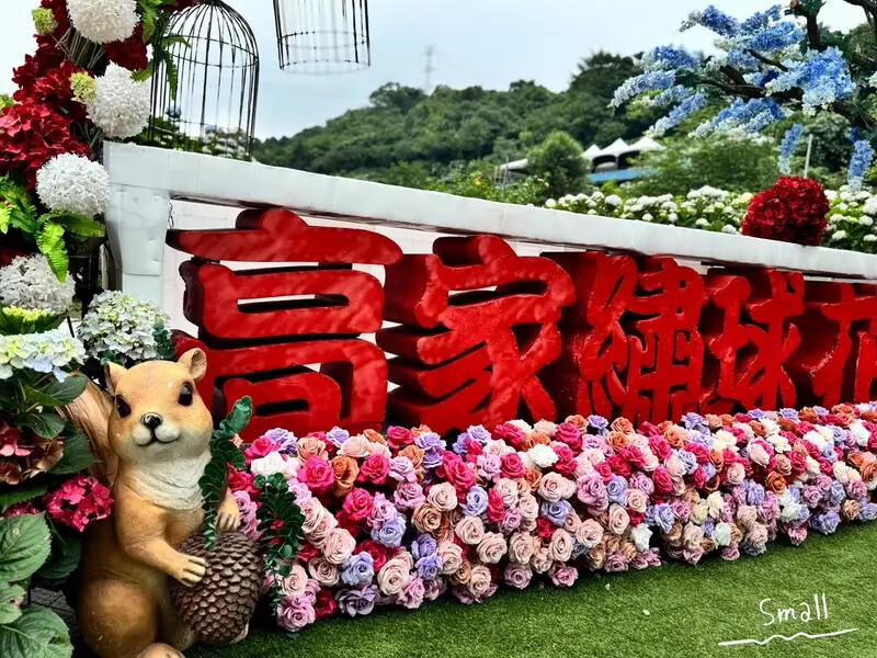 全台最大繡球花田【高家繡球花_萬里第三園區】有夢幻花海與造景 全台最大繡球花田【高家繡球花_萬里第三園區】有夢幻花海與造景
