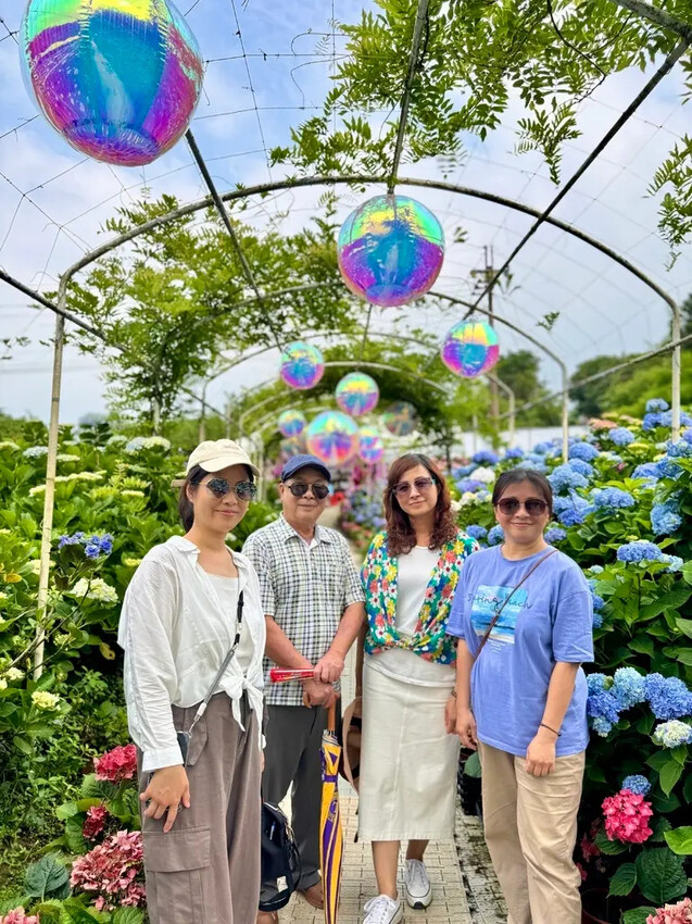 全台最大繡球花田【高家繡球花_萬里第三園區】有夢幻花海與造景 全台最大繡球花田【高家繡球花_萬里第三園區】有夢幻花海與造景