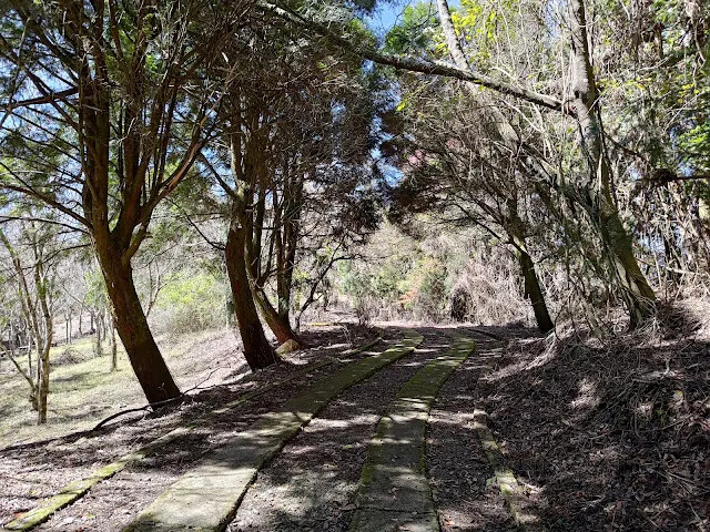 清境農場 (觀山牧區) - 壽山園
