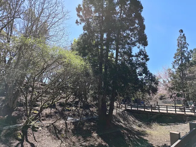 清境農場 (觀山牧區)