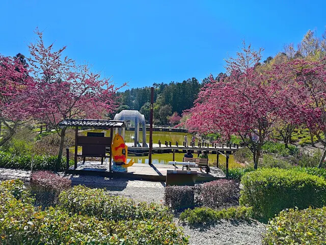 清境農場 (小瑞士花園) - 迷宮花園 - 水上教堂 - 櫻花