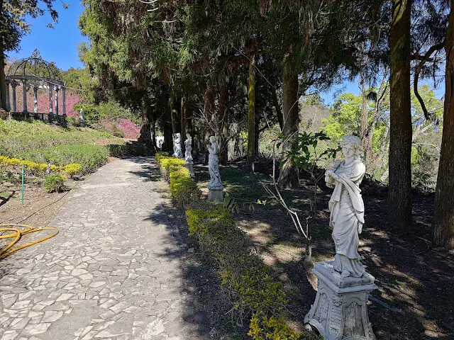 清境農場 (小瑞士花園) - 柳杉步道
