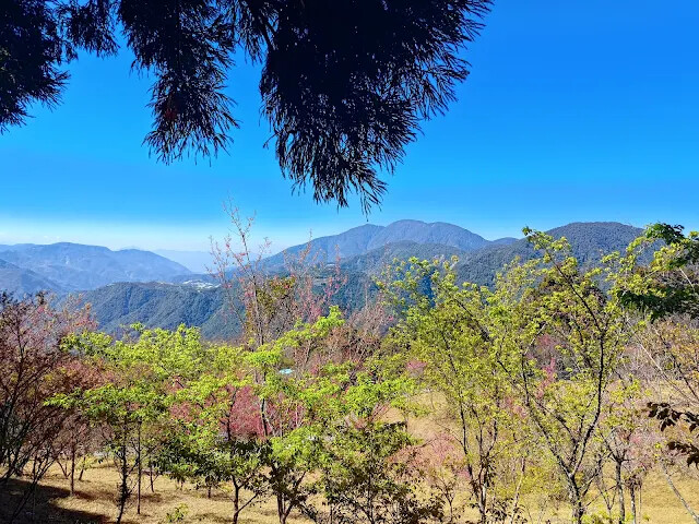 清境農場 (觀山牧區) - 中央山脈