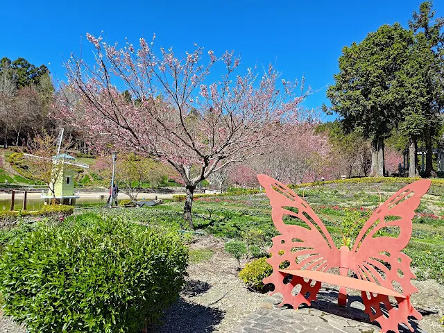 清境農場 (小瑞士花園) - 歐風花園 - 櫻花