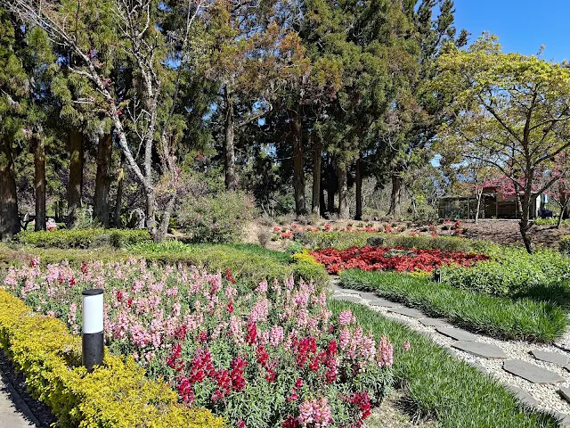 清境農場 (小瑞士花園) - 歐風花園