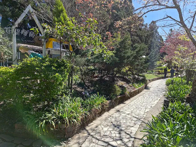 清境農場 (小瑞士花園) - 花間轉角