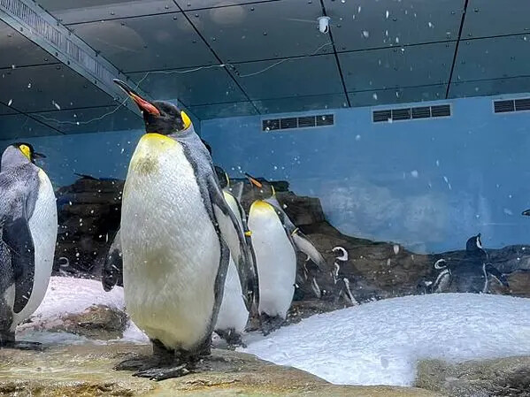 LINE_ALBUM_桃園高鐵一日遊_230127_54 LINE_ALBUM_桃園高鐵一日遊_230127_54