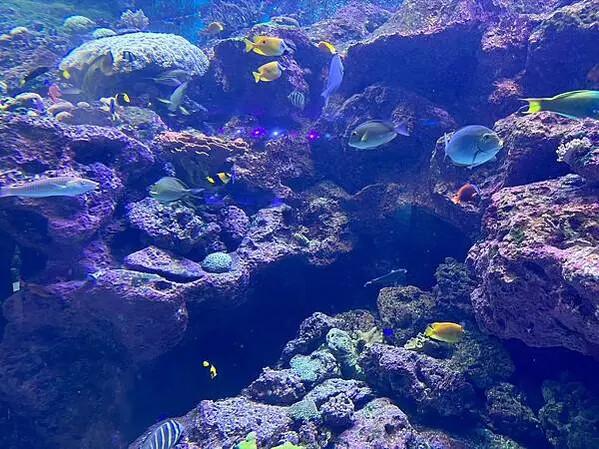 LINE_ALBUM_桃園高鐵一日遊_230127_124 LINE_ALBUM_桃園高鐵一日遊_230127_124