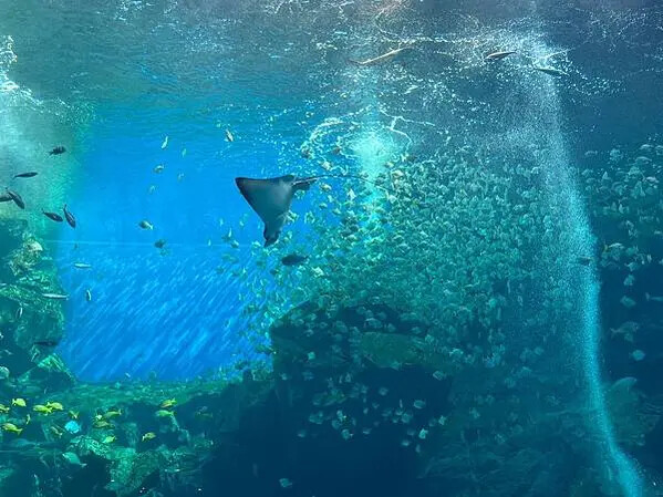 LINE_ALBUM_桃園高鐵一日遊_230127_136 LINE_ALBUM_桃園高鐵一日遊_230127_136