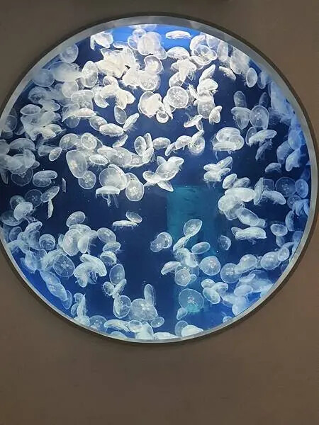 LINE_ALBUM_桃園高鐵一日遊_230127_164 LINE_ALBUM_桃園高鐵一日遊_230127_164