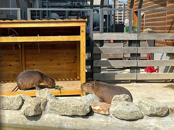 LINE_ALBUM_桃園高鐵一日遊_230127_39 LINE_ALBUM_桃園高鐵一日遊_230127_39