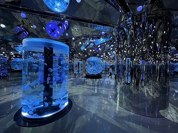 LINE_ALBUM_桃園高鐵一日遊_230127_64 LINE_ALBUM_桃園高鐵一日遊_230127_64