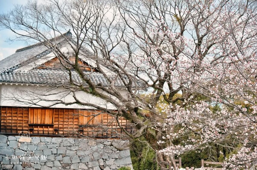 熊本一日遊|走進熊本城賞櫻、賞池中富士山、逛熱鬧老街 - 卡琳。摸魚兒趣