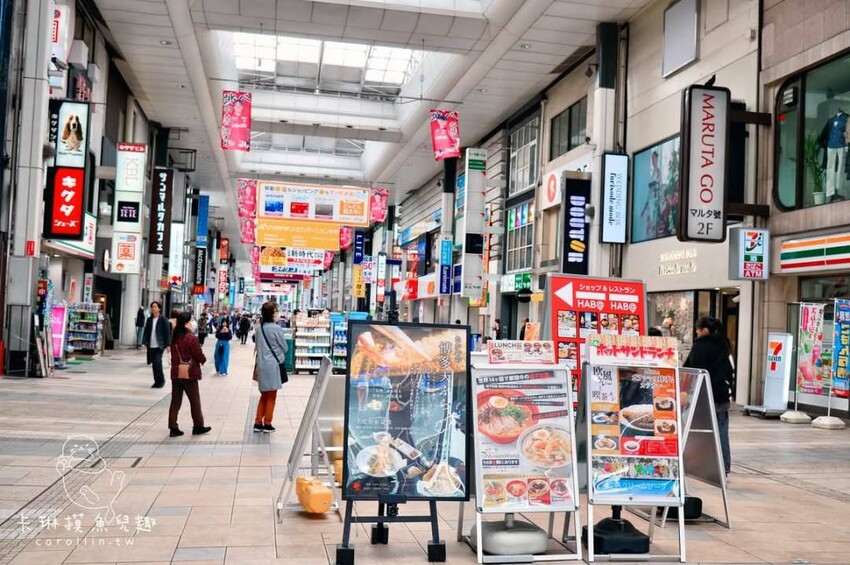 熊本一日遊|走進熊本城賞櫻、賞池中富士山、逛熱鬧老街 - 卡琳。摸魚兒趣