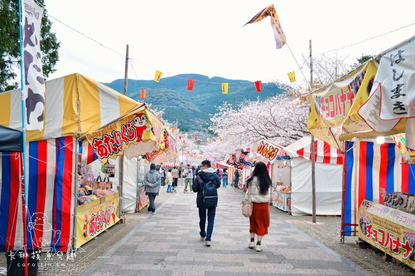 長崎一日遊行程｜搭郵輪玩稻佐山夜景、企鵝水族館、橘神社賞櫻 - 卡琳。摸魚兒趣