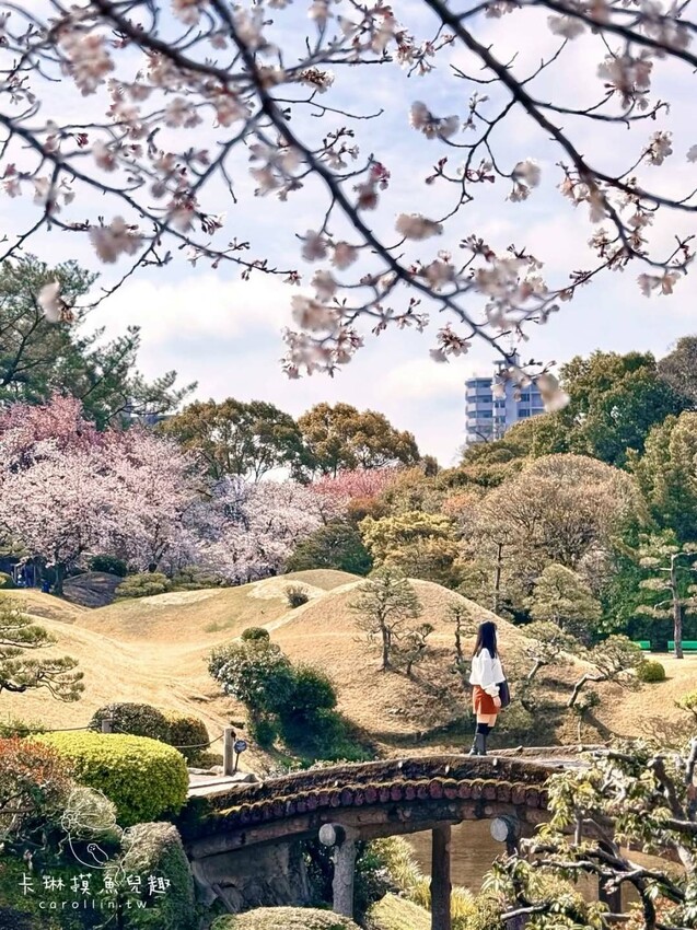熊本一日遊|走進熊本城賞櫻、賞池中富士山、逛熱鬧老街 - 卡琳。摸魚兒趣