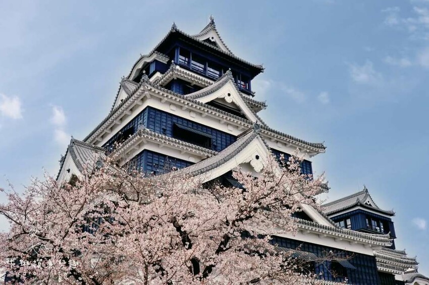 熊本一日遊|走進熊本城賞櫻、賞池中富士山、逛熱鬧老街 - 卡琳。摸魚兒趣