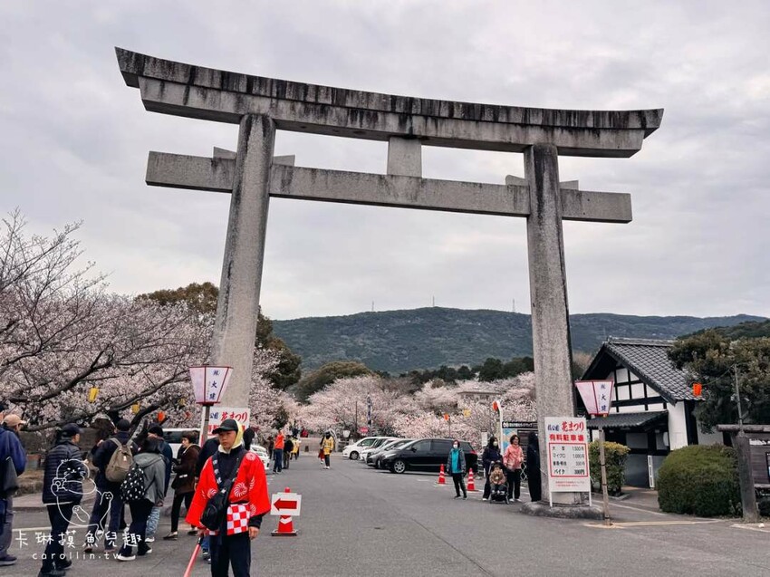 長崎一日遊行程｜搭郵輪玩稻佐山夜景、企鵝水族館、橘神社賞櫻 - 卡琳。摸魚兒趣