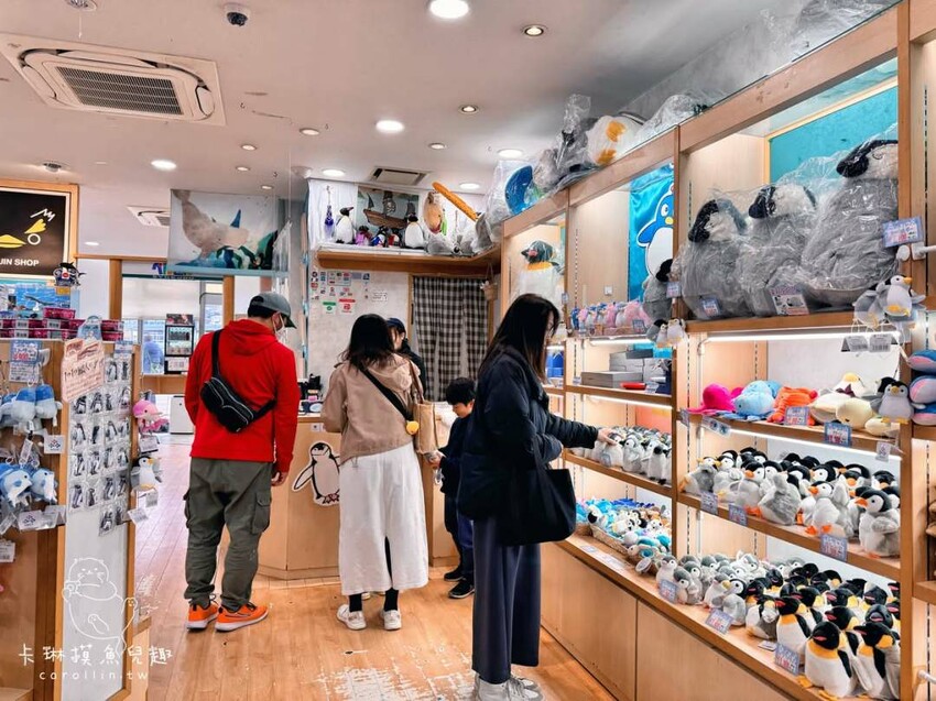 長崎一日遊行程｜搭郵輪玩稻佐山夜景、企鵝水族館、橘神社賞櫻 - 卡琳。摸魚兒趣