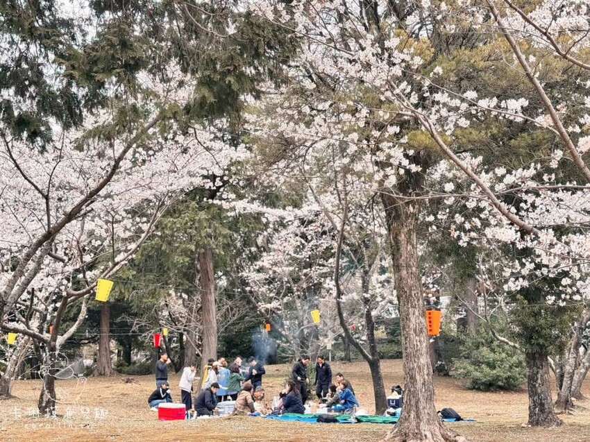 長崎一日遊行程｜搭郵輪玩稻佐山夜景、企鵝水族館、橘神社賞櫻 - 卡琳。摸魚兒趣