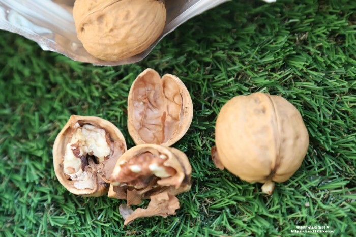 墾丁盤古拉民宿推薦！偽出國度假首選，異國感滿滿。