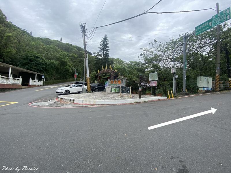 白石湖同心池.鳶尾花~賞玩白石湖社區與鳶尾花相遇 @Bernice的隨手筆記