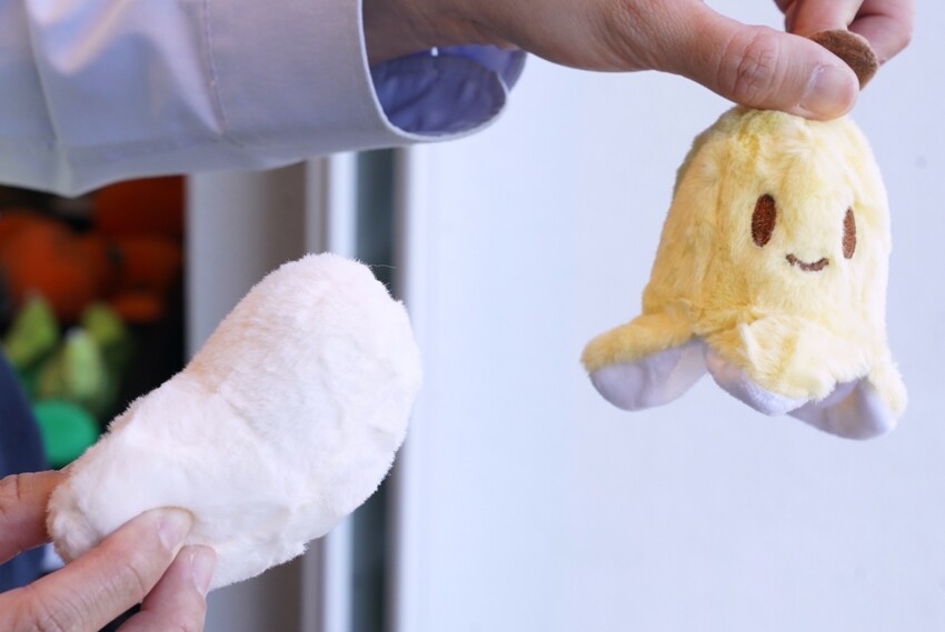 南投縣埔里鎮埔里景點 日月町 日月潭旅途中最美休息驛站，美食、美拍新聖地