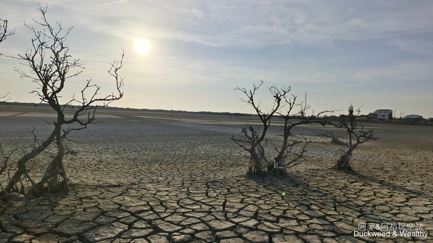 台南市七股區【台南.七股】「頂山賞鳥亭」大自然鹽灘龜裂奇景|彩霞夕照下的荒涼大地讓人驚艷的熱拍景點|