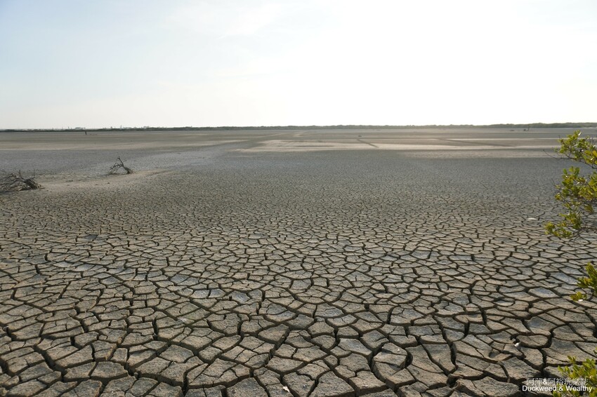台南市七股區【台南.七股】「頂山賞鳥亭」大自然鹽灘龜裂奇景|彩霞夕照下的荒涼大地讓人驚艷的熱拍景點|