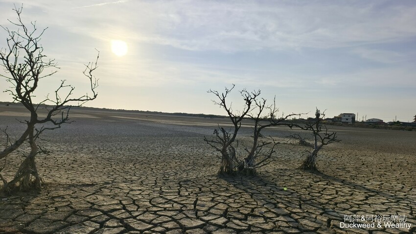台南市七股區【台南.七股】「頂山賞鳥亭」大自然鹽灘龜裂奇景|彩霞夕照下的荒涼大地讓人驚艷的熱拍景點|