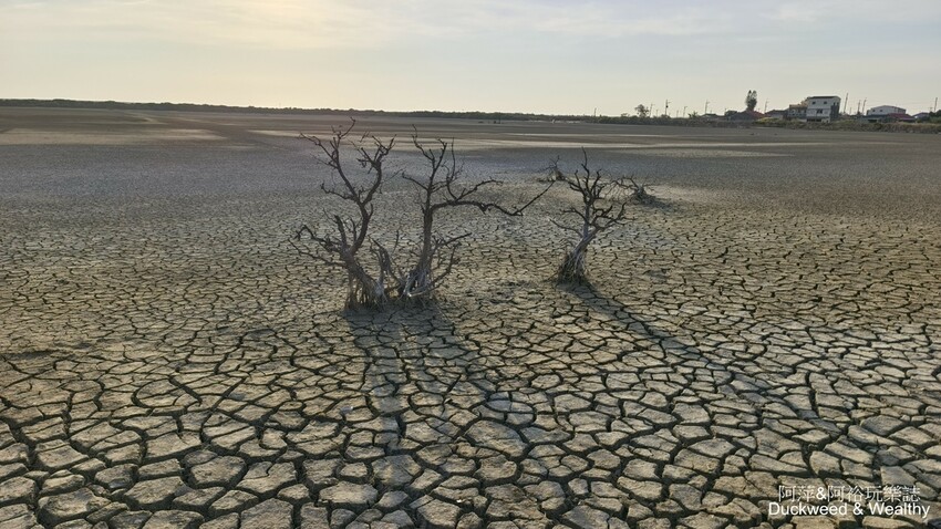 台南市七股區【台南.七股】「頂山賞鳥亭」大自然鹽灘龜裂奇景|彩霞夕照下的荒涼大地讓人驚艷的熱拍景點|