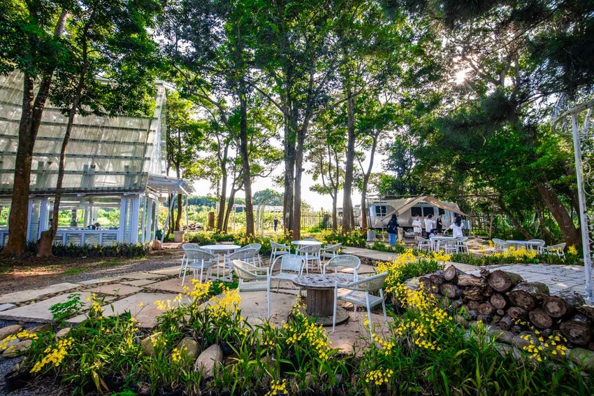 卓蘭小巷清風豪華露營，一泊三食網美必拍。