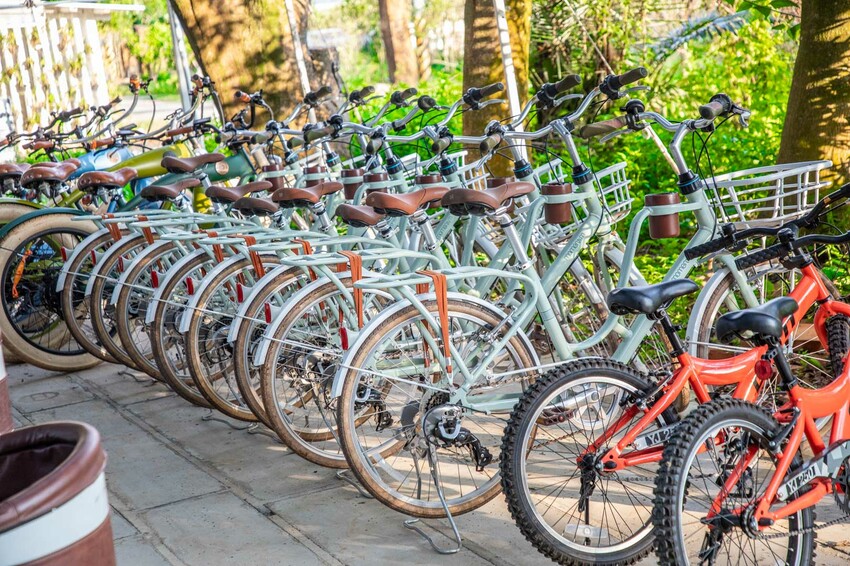 卓蘭小巷清風豪華露營，一泊三食網美必拍。