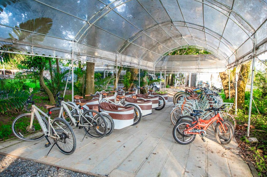 卓蘭小巷清風豪華露營，一泊三食網美必拍。