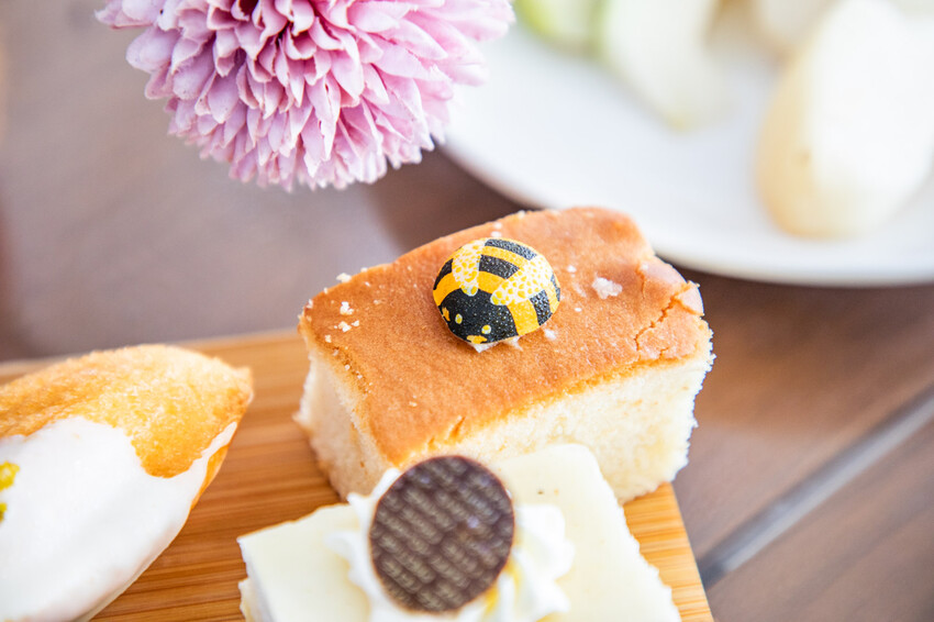 卓蘭小巷清風豪華露營，一泊三食網美必拍。