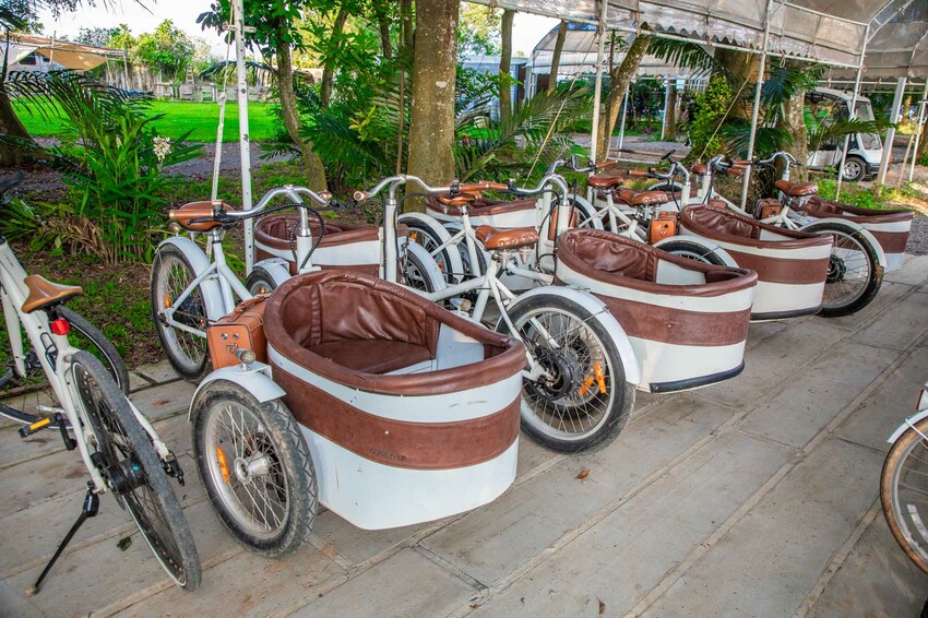 卓蘭小巷清風豪華露營，一泊三食網美必拍。