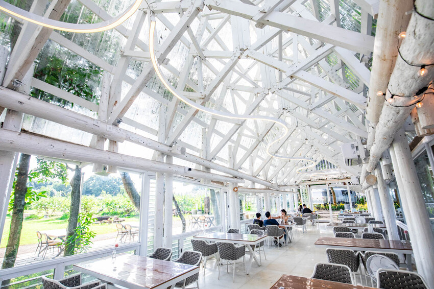 卓蘭小巷清風豪華露營，一泊三食網美必拍。