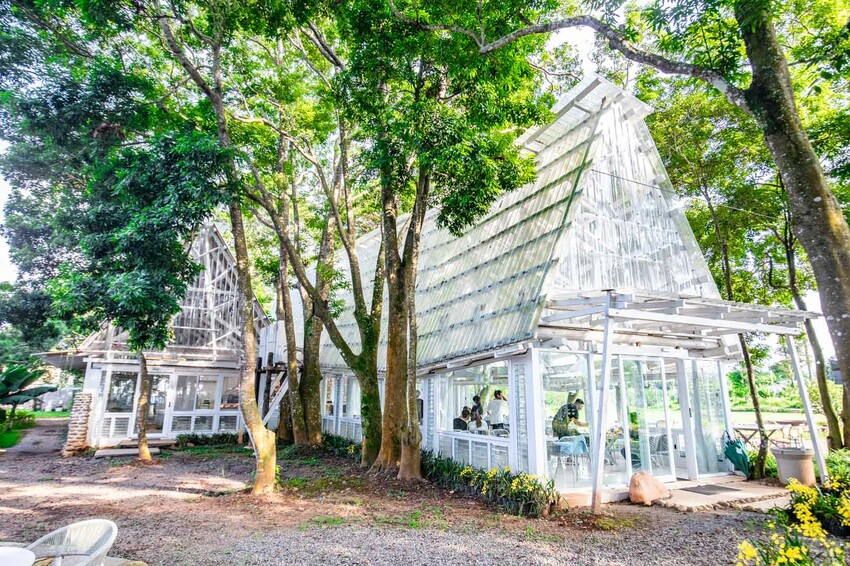 卓蘭小巷清風豪華露營，一泊三食網美必拍。